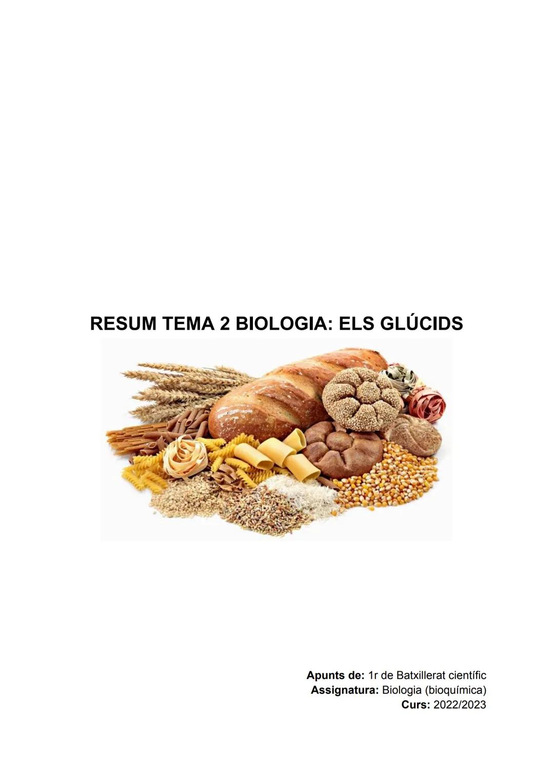 RESUM TEMA 2 BIOLOGIA: ELS GLÚCIDS

Apunts de: 1r de Batxillerat científic
Assignatura: Biologia (bioquímica)
Curs: 2022/2023 3.1.1 MALTOSA.