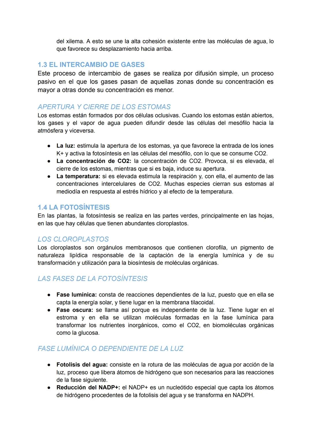 # LA NUTRICIÓN VEGETAL Y LA FITOHORMONAS

1. LA NUTRICIÓN DE LAS PLANTAS

Las plantas son organismos pluricelulares con nutrición autótrofa.