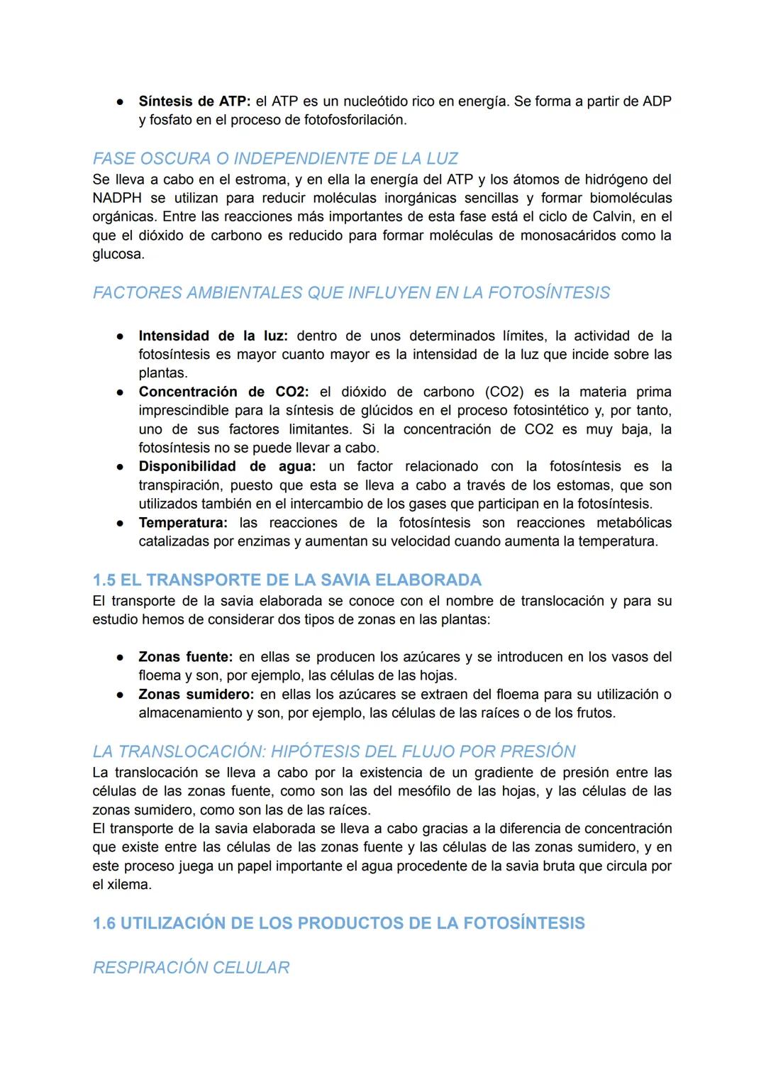 # LA NUTRICIÓN VEGETAL Y LA FITOHORMONAS

1. LA NUTRICIÓN DE LAS PLANTAS

Las plantas son organismos pluricelulares con nutrición autótrofa.
