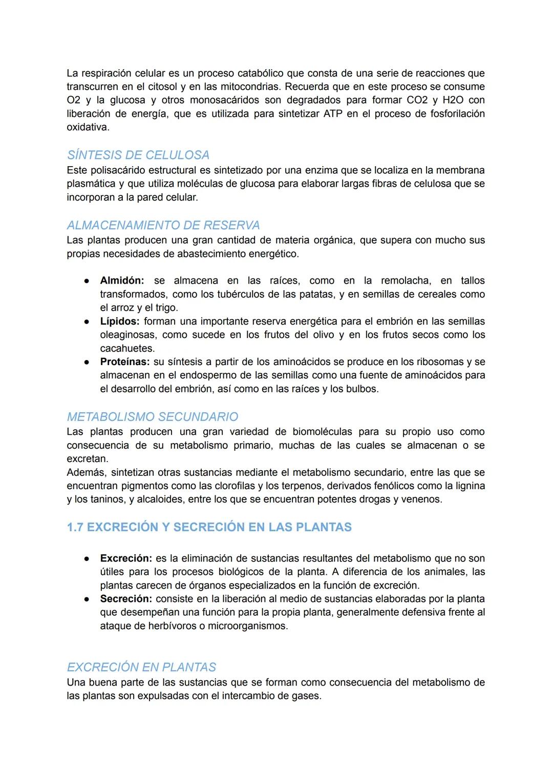 # LA NUTRICIÓN VEGETAL Y LA FITOHORMONAS

1. LA NUTRICIÓN DE LAS PLANTAS

Las plantas son organismos pluricelulares con nutrición autótrofa.