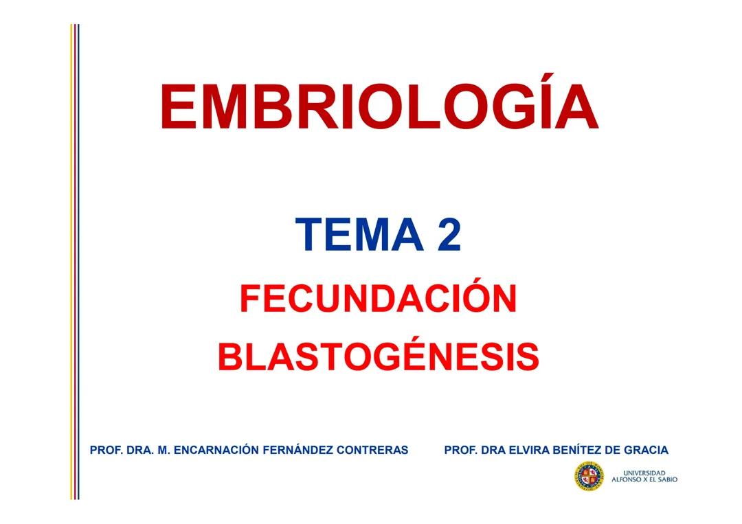 Proceso de Fecundación y Inicio de la Blastogénesis