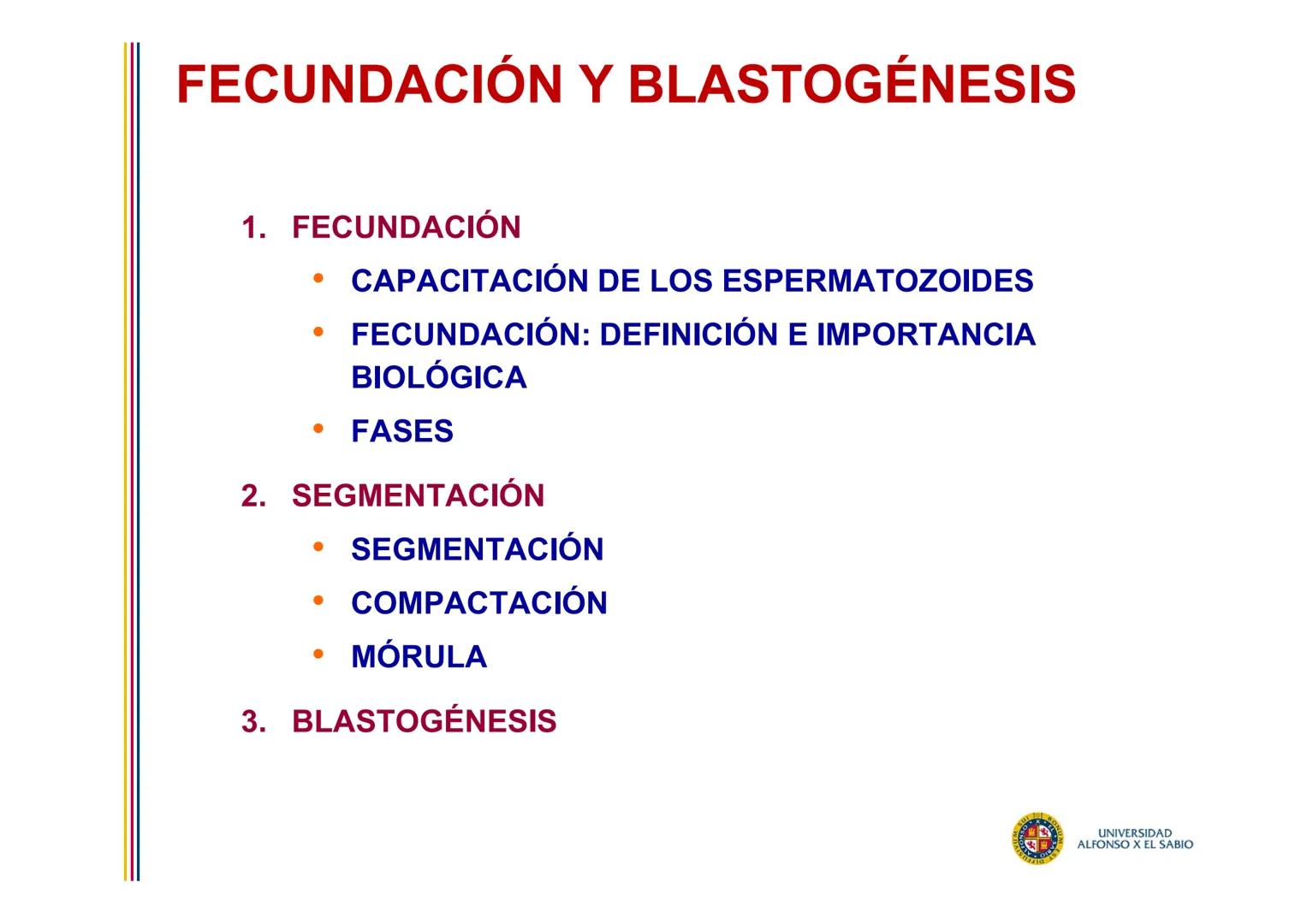 EMBRIOLOGÍA
TEMA 2
FECUNDACIÓN
BLASTOGÉNESIS
PROF. DRA. M. ENCARNACIÓN FERNÁNDEZ CONTRERAS
PROF. DRA ELVIRA BENÍTEZ DE GRACIA
UNIVERSIDAD
AL