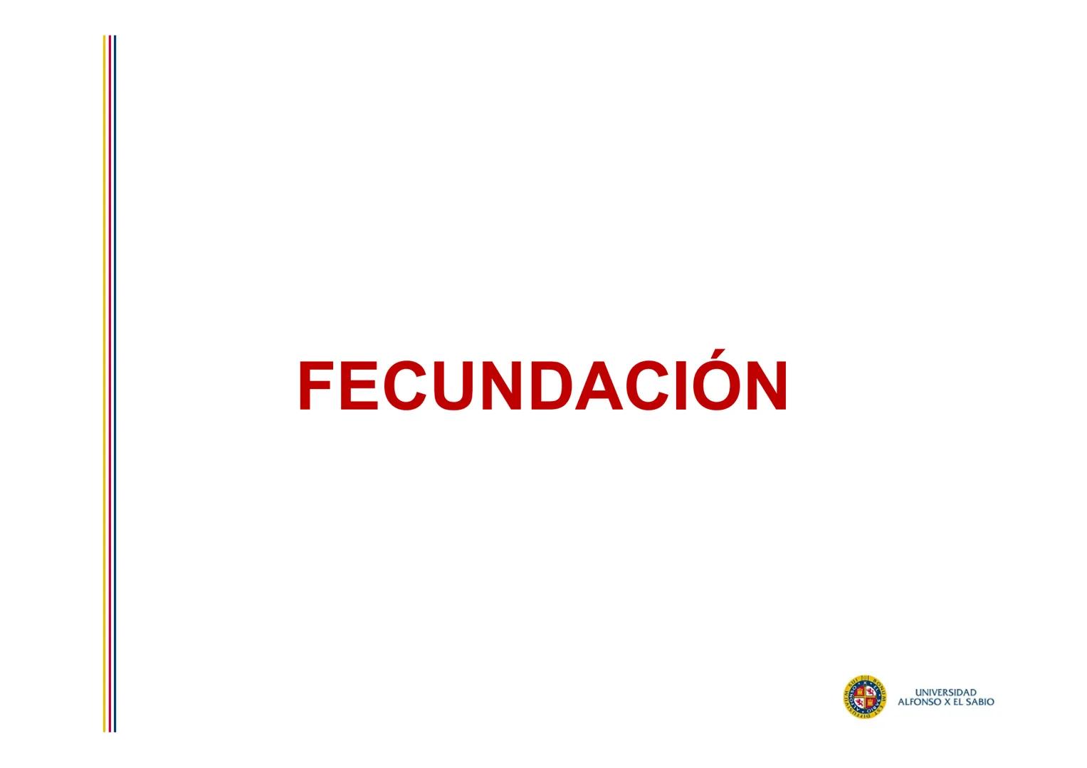 EMBRIOLOGÍA
TEMA 2
FECUNDACIÓN
BLASTOGÉNESIS
PROF. DRA. M. ENCARNACIÓN FERNÁNDEZ CONTRERAS
PROF. DRA ELVIRA BENÍTEZ DE GRACIA
UNIVERSIDAD
AL