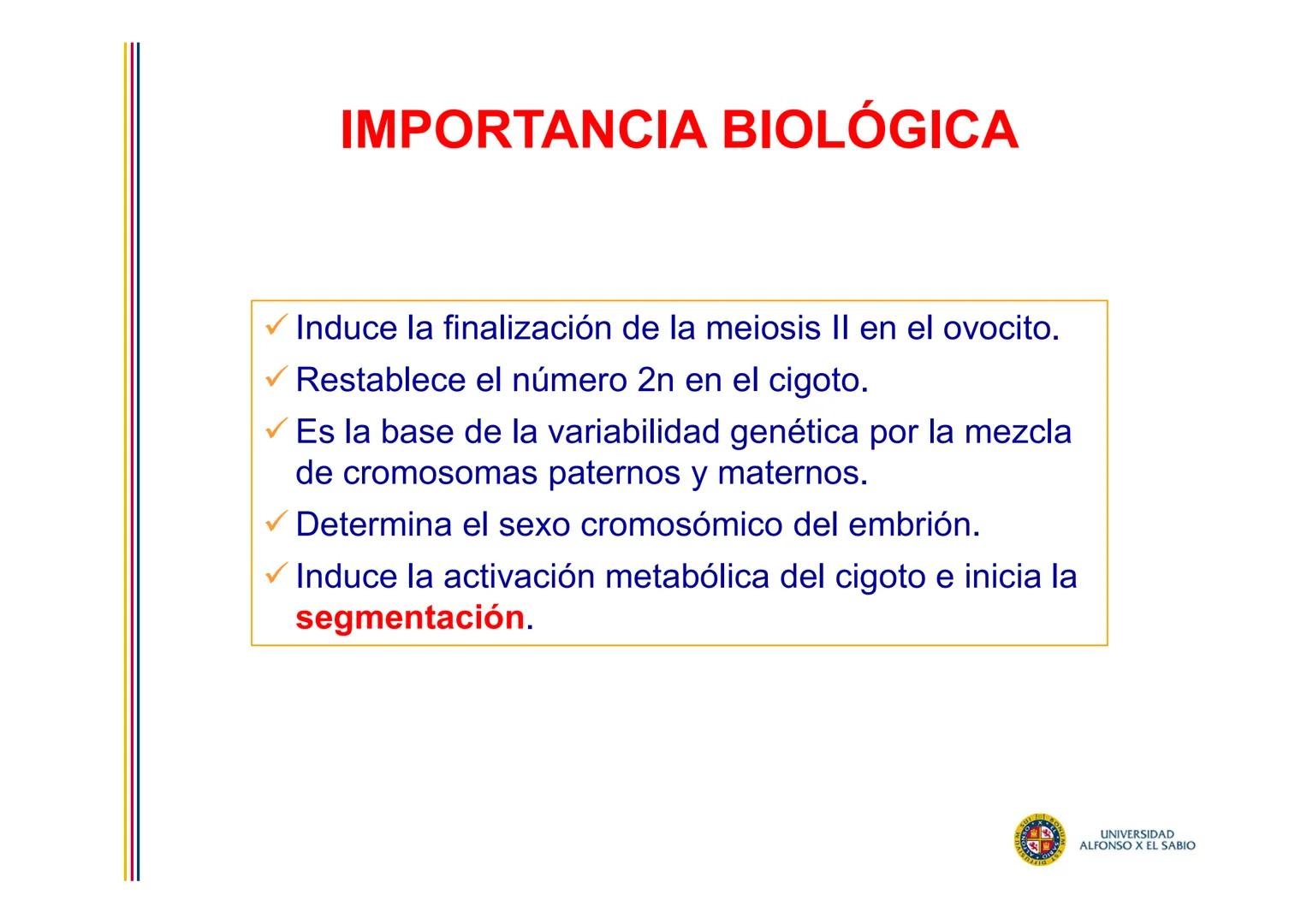EMBRIOLOGÍA
TEMA 2
FECUNDACIÓN
BLASTOGÉNESIS
PROF. DRA. M. ENCARNACIÓN FERNÁNDEZ CONTRERAS
PROF. DRA ELVIRA BENÍTEZ DE GRACIA
UNIVERSIDAD
AL