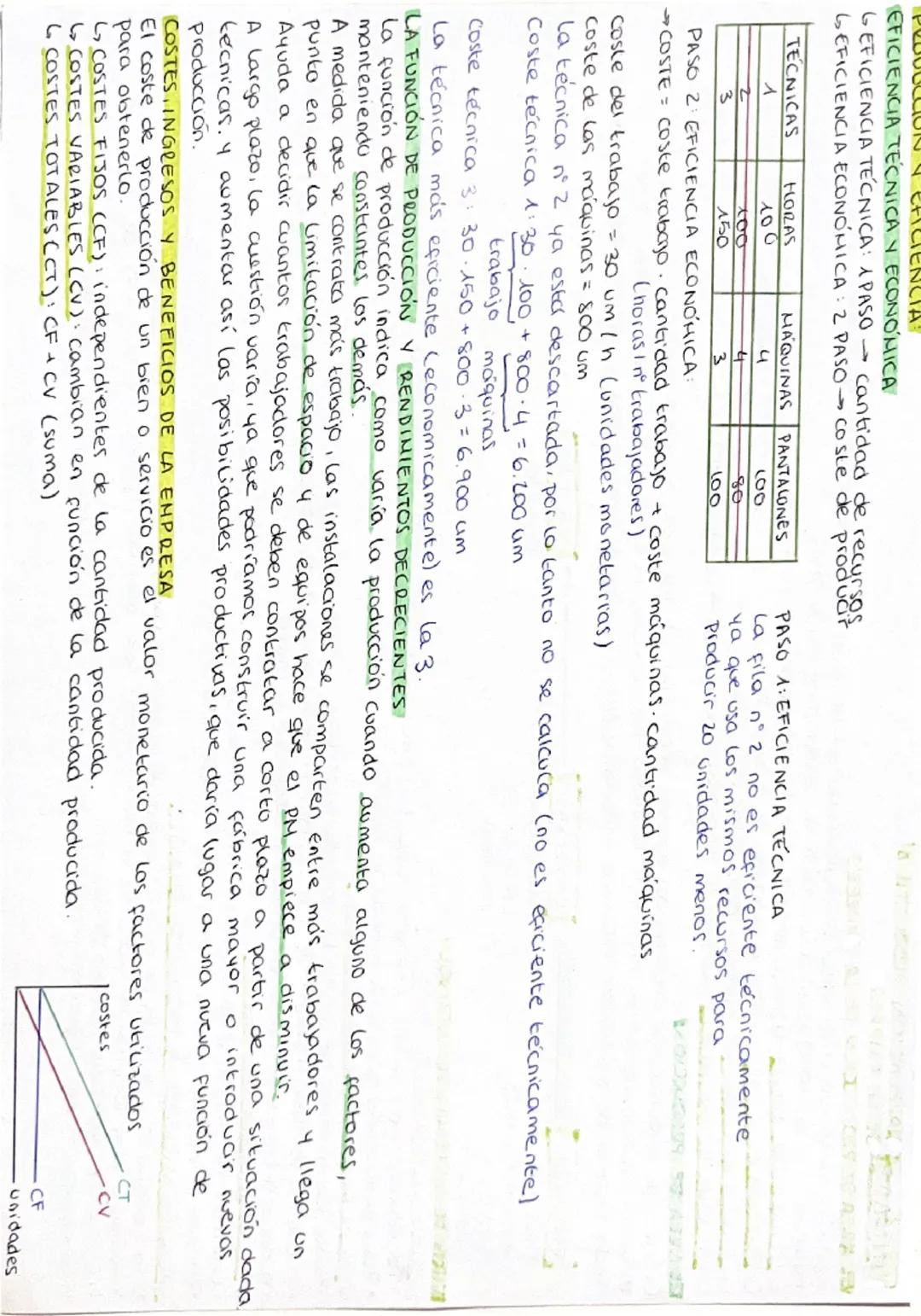 # UNIDAD 5 LA FUNCIÓN PRODUCTIVA
DE LA EMPRESA

EL AREA DE PRODUCCIÓN DE LA EMPRESA

Producir consiste en crear valor al incrementar la util