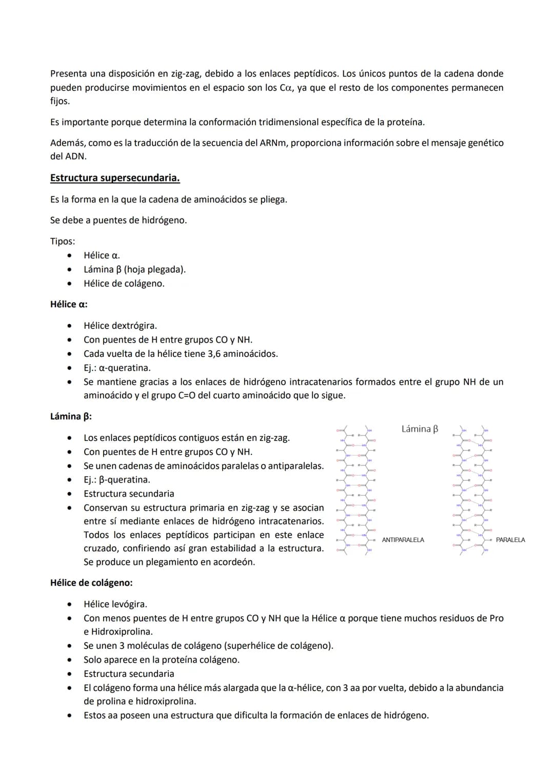 
<p>Las proteínas son polímeros de aminoácidos que están formadas por C, H, O, N, y pueden contener S y P, y en menor proporción, Fe, Cu, Mg