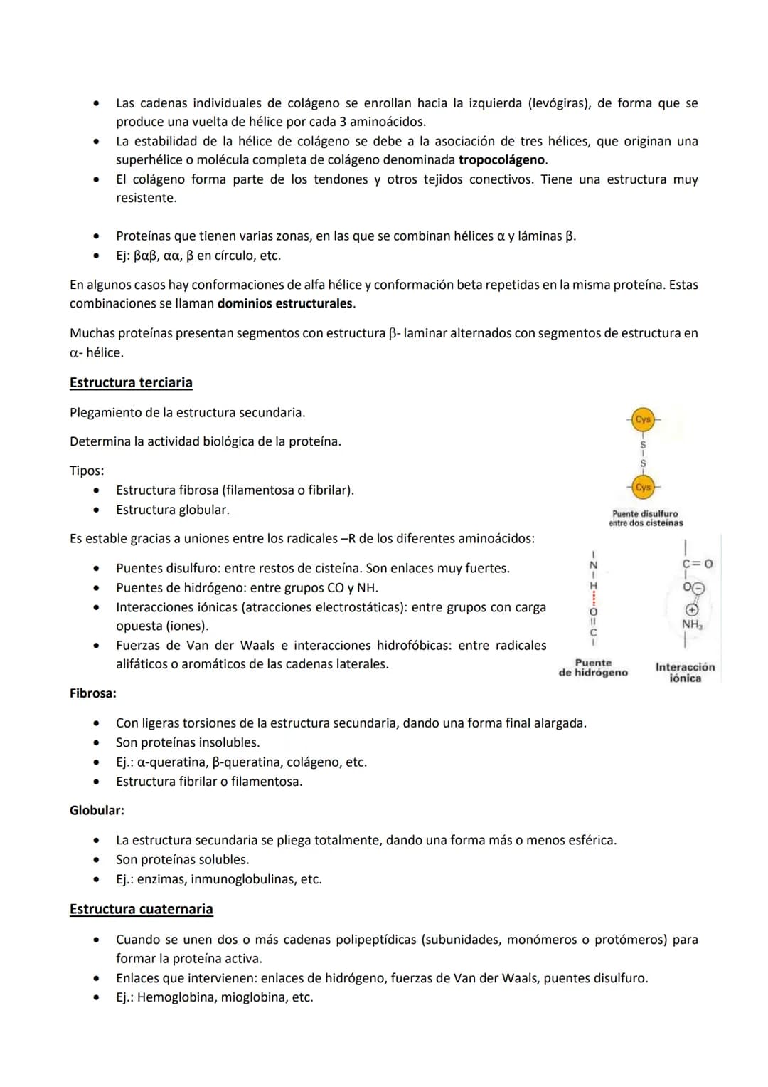 
<p>Las proteínas son polímeros de aminoácidos que están formadas por C, H, O, N, y pueden contener S y P, y en menor proporción, Fe, Cu, Mg