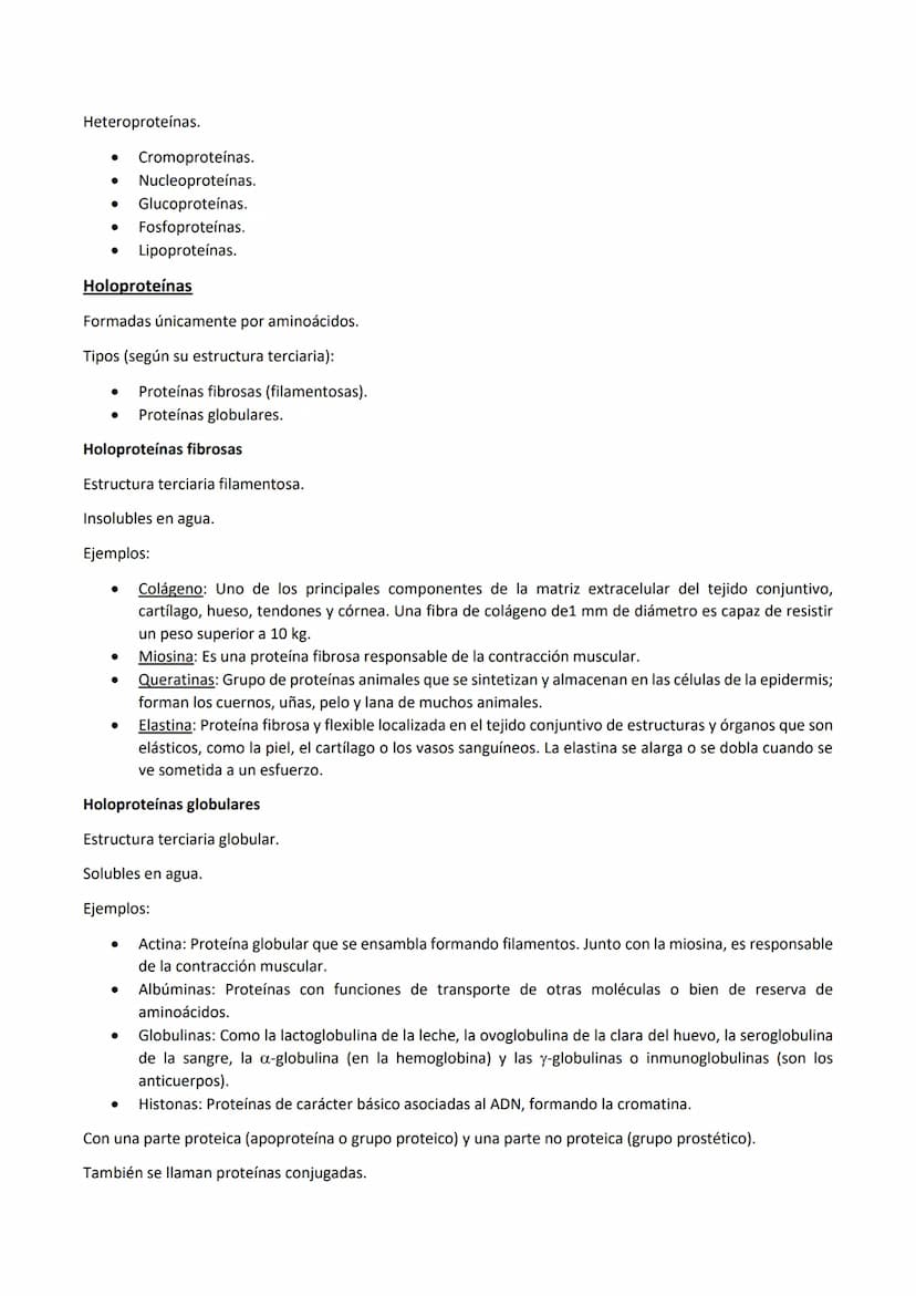 
<p>Las proteínas son polímeros de aminoácidos que están formadas por C, H, O, N, y pueden contener S y P, y en menor proporción, Fe, Cu, Mg