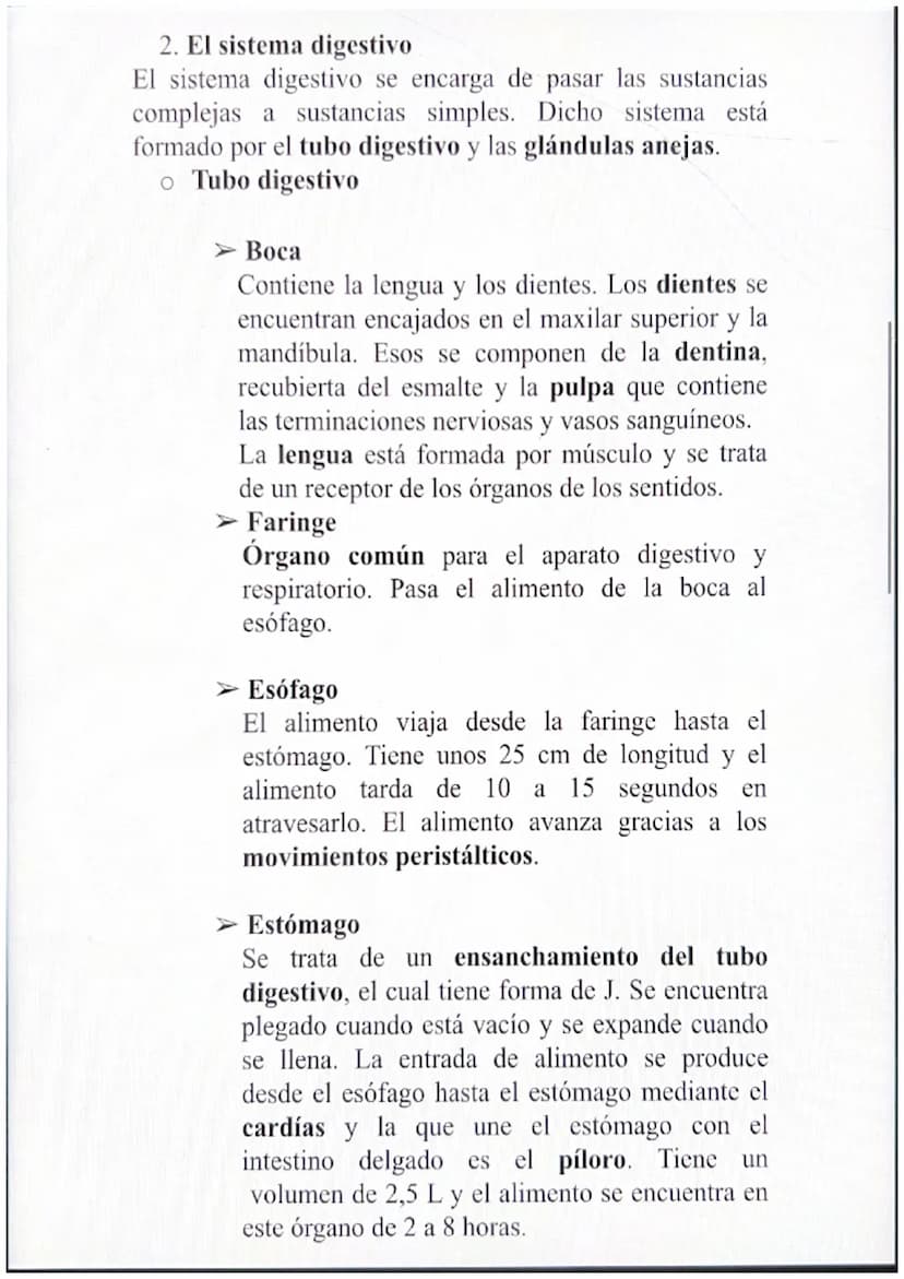 1. Los alimentos y sus componentes
Además del oxígeno que se obtiene del aparato
respiratorio, debemos obtener nutrientes a través de los
al