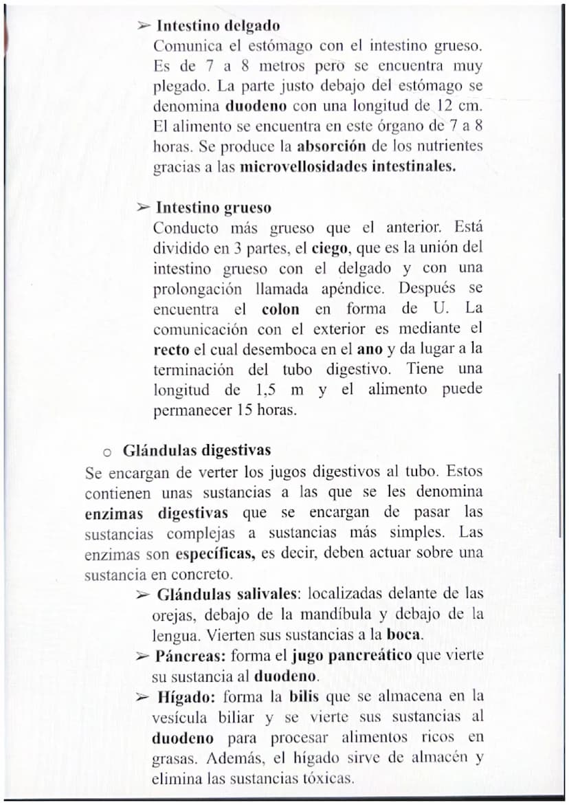 1. Los alimentos y sus componentes
Además del oxígeno que se obtiene del aparato
respiratorio, debemos obtener nutrientes a través de los
al