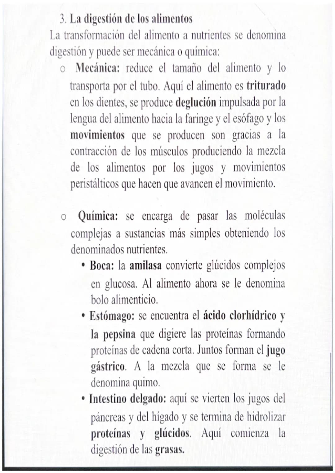 1. Los alimentos y sus componentes
Además del oxígeno que se obtiene del aparato
respiratorio, debemos obtener nutrientes a través de los
al