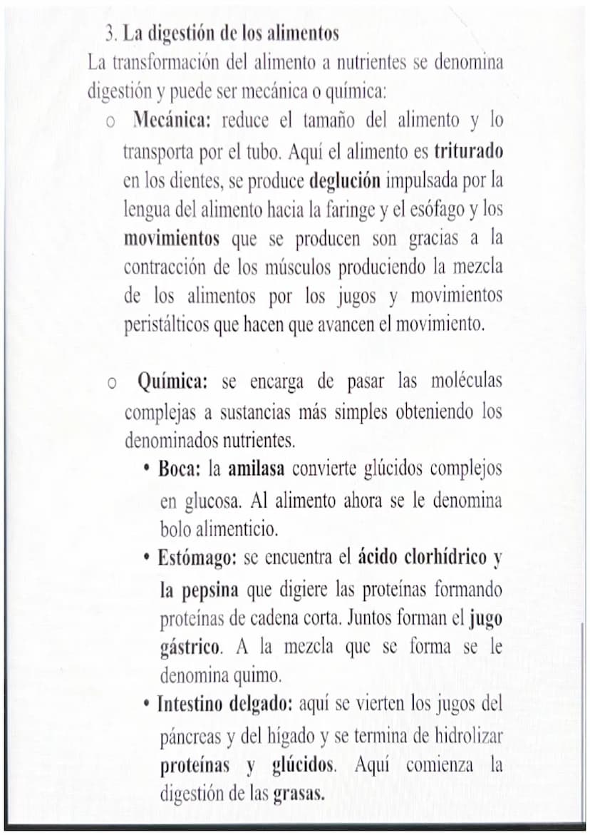 1. Los alimentos y sus componentes
Además del oxígeno que se obtiene del aparato
respiratorio, debemos obtener nutrientes a través de los
al