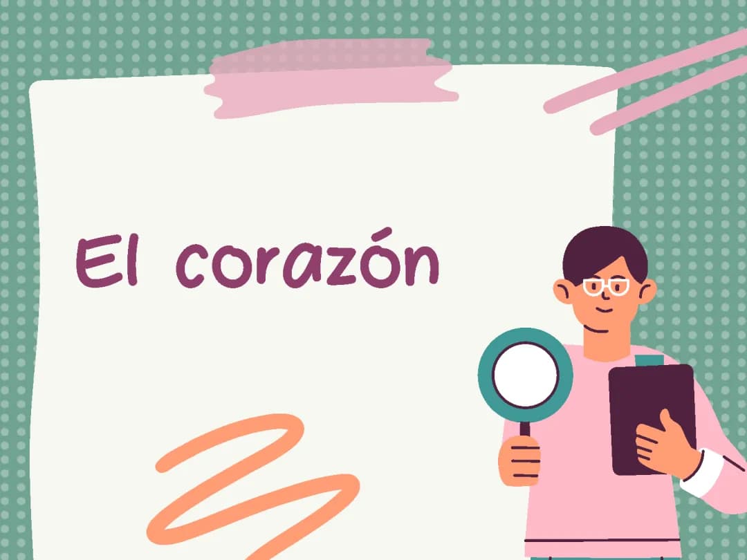 El corazón