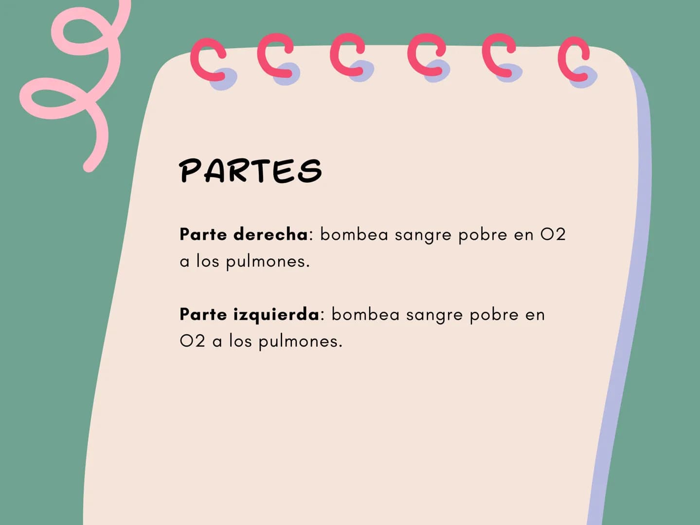 El corazón
2 عو
PARTES
Parte derecha: bombea sangre pobre en 02
a los pulmones.
Parte izquierda: bombea sangre pobre en
02 a los pulmones. A