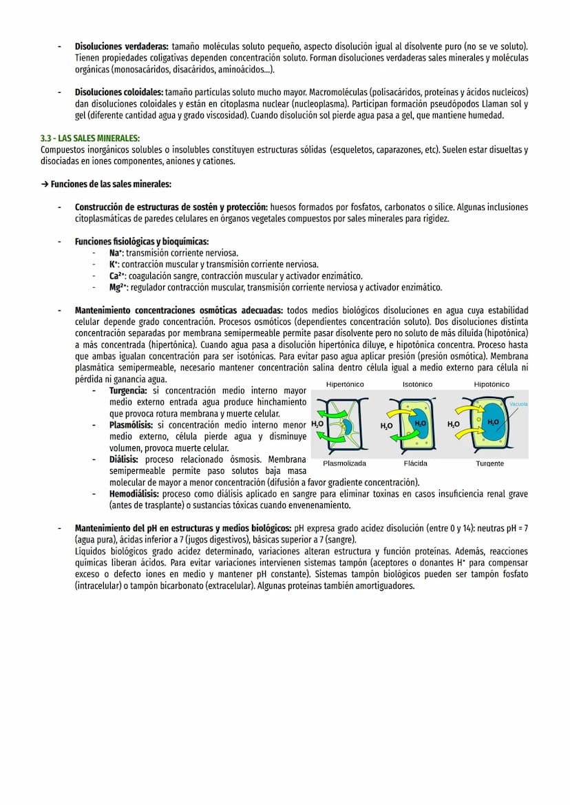 TEMA 1-BIOELEMENTOS:
1- BIOELEMENTOS:
Son biomoléculas formadas por unión átomos elementos químicos. Todos están en tabla periódica, no excl