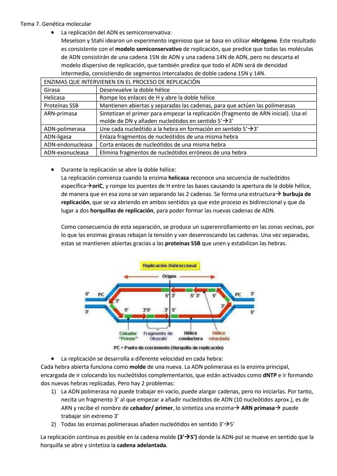 Tema 7. Genética molecular
1. EL ADN COMO MATERIAL GENÉTICO
Las células madre pueden expresar todos los genes, mientras que las células dife