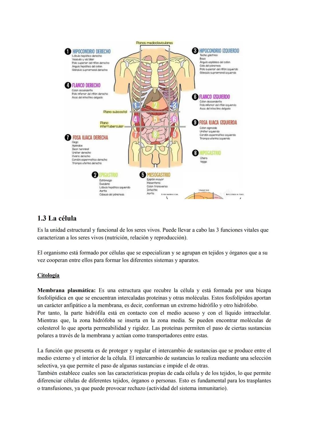 # Tema 1: Reconocimiento de la estructura y organización general del
organismo humano

1.1 Niveles de organización de los seres vivos 1
1.2 