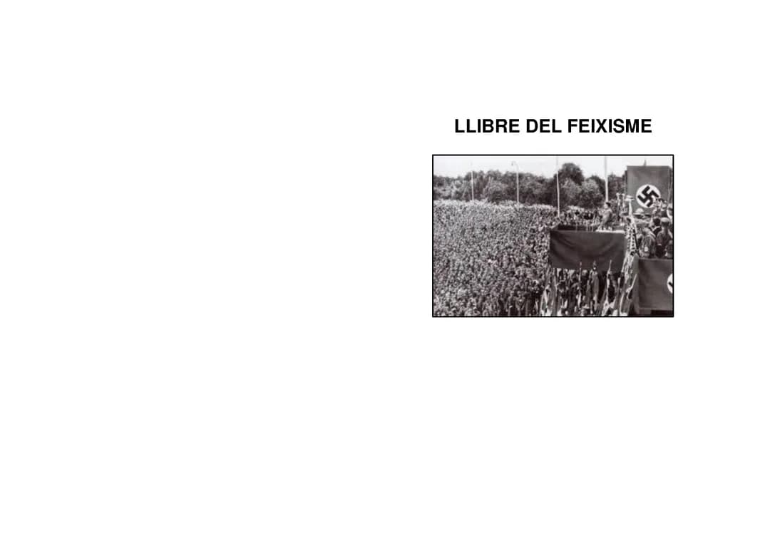FEIXISME 