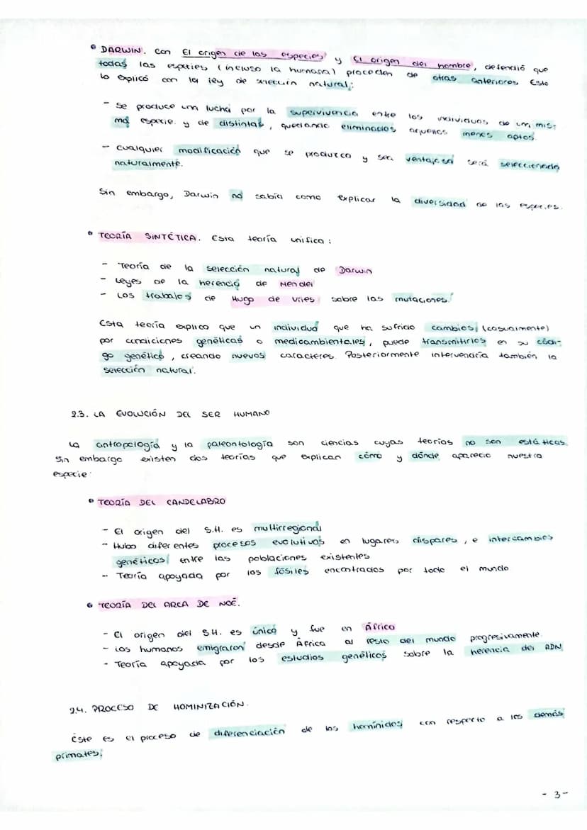 U3 NATURALEZA Y CULTURA CN CL
Y CULTURA CN EL SER HUMANO
• LA REFLEXIÓN FILOSÓFICA SOBRE EL SER HUMANO (VIERNES)
LI. LA ANTROPOLOGIA
la antr