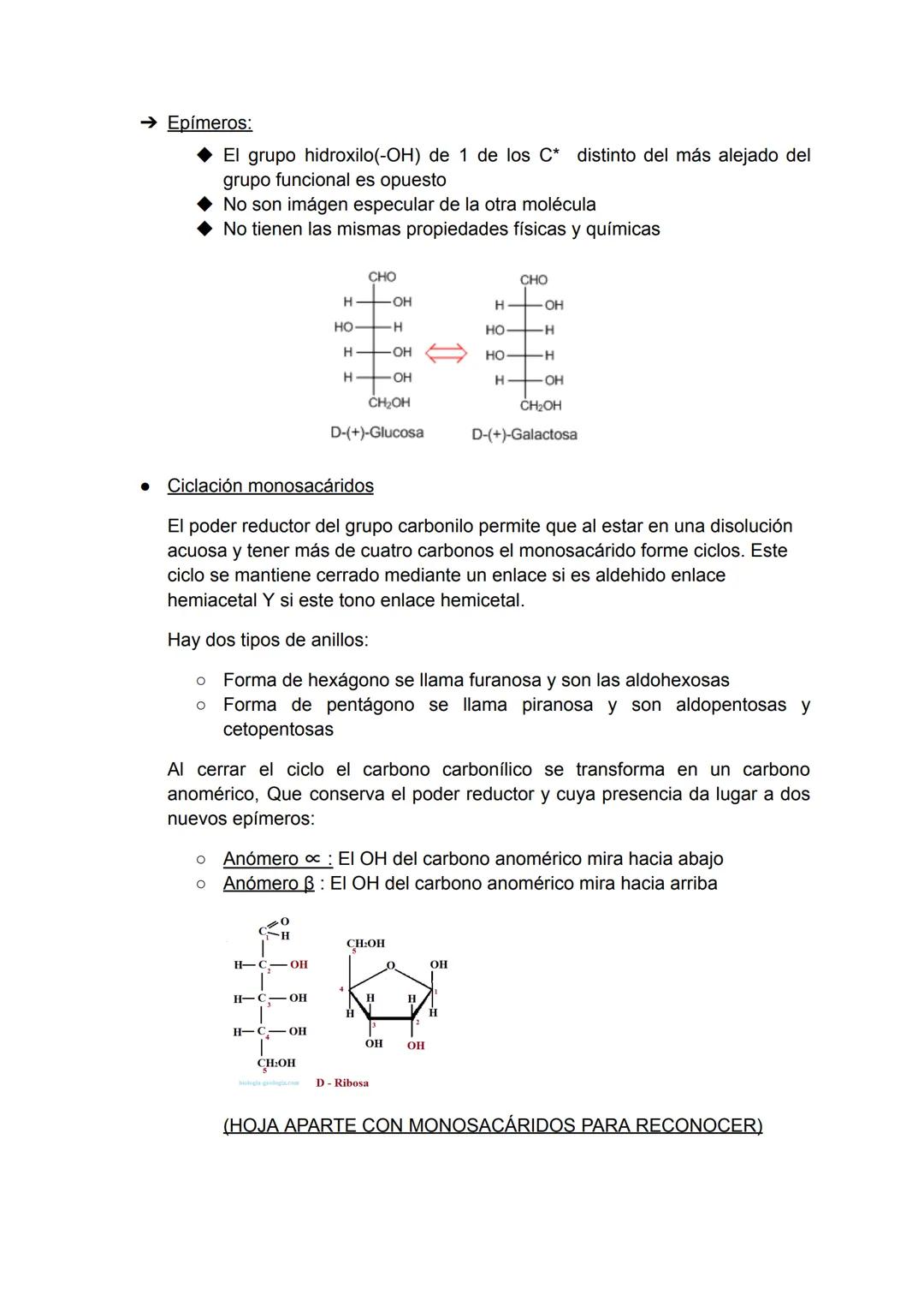 TEMA 2 GLÚCIDOS
• C, H, O - (CH2O)n
● Polihidroxialdehído o Polihidroxicetona
Monosacáridos
Características de los monosacáridos:
O Son los 