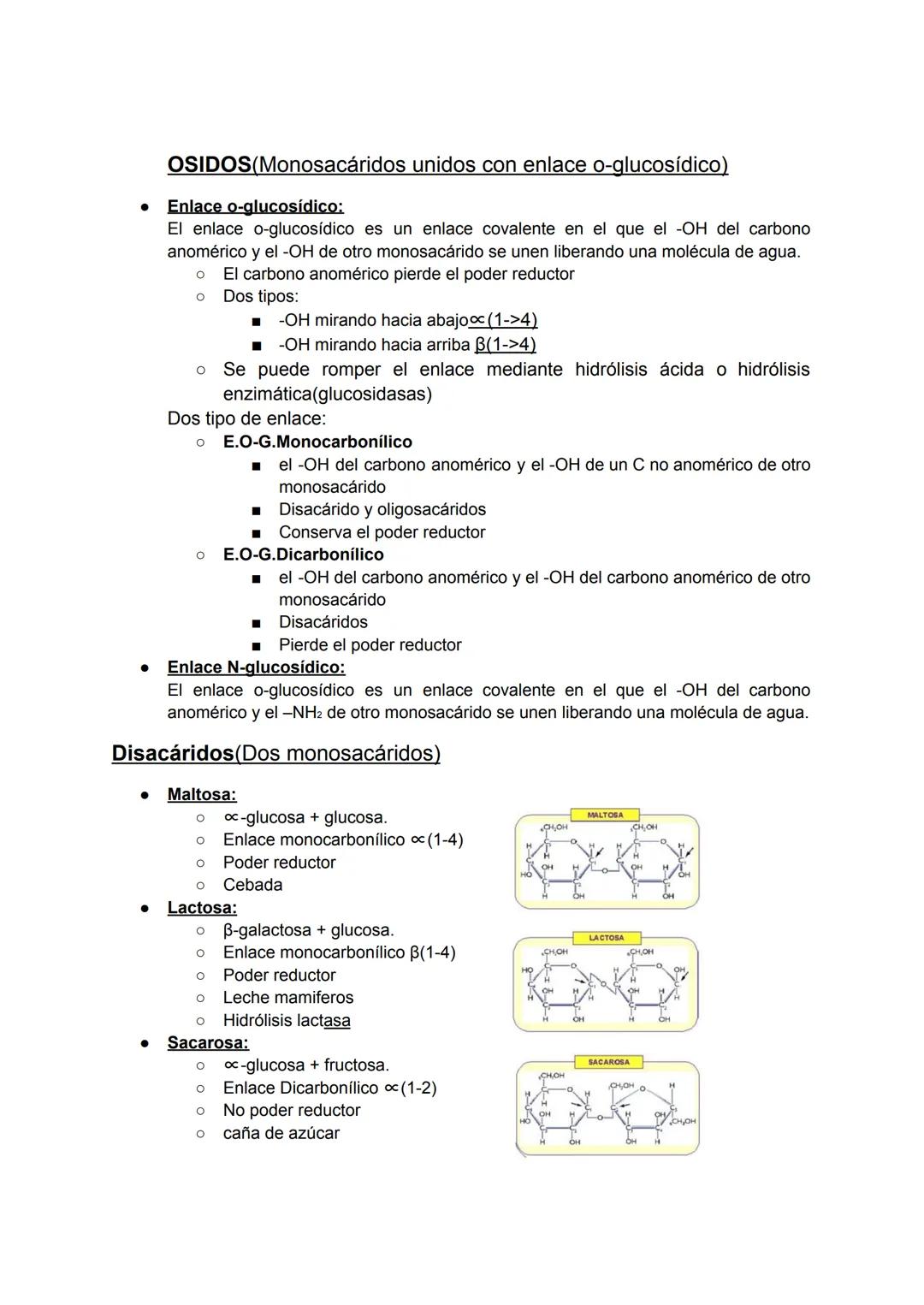TEMA 2 GLÚCIDOS
• C, H, O - (CH2O)n
● Polihidroxialdehído o Polihidroxicetona
Monosacáridos
Características de los monosacáridos:
O Son los 