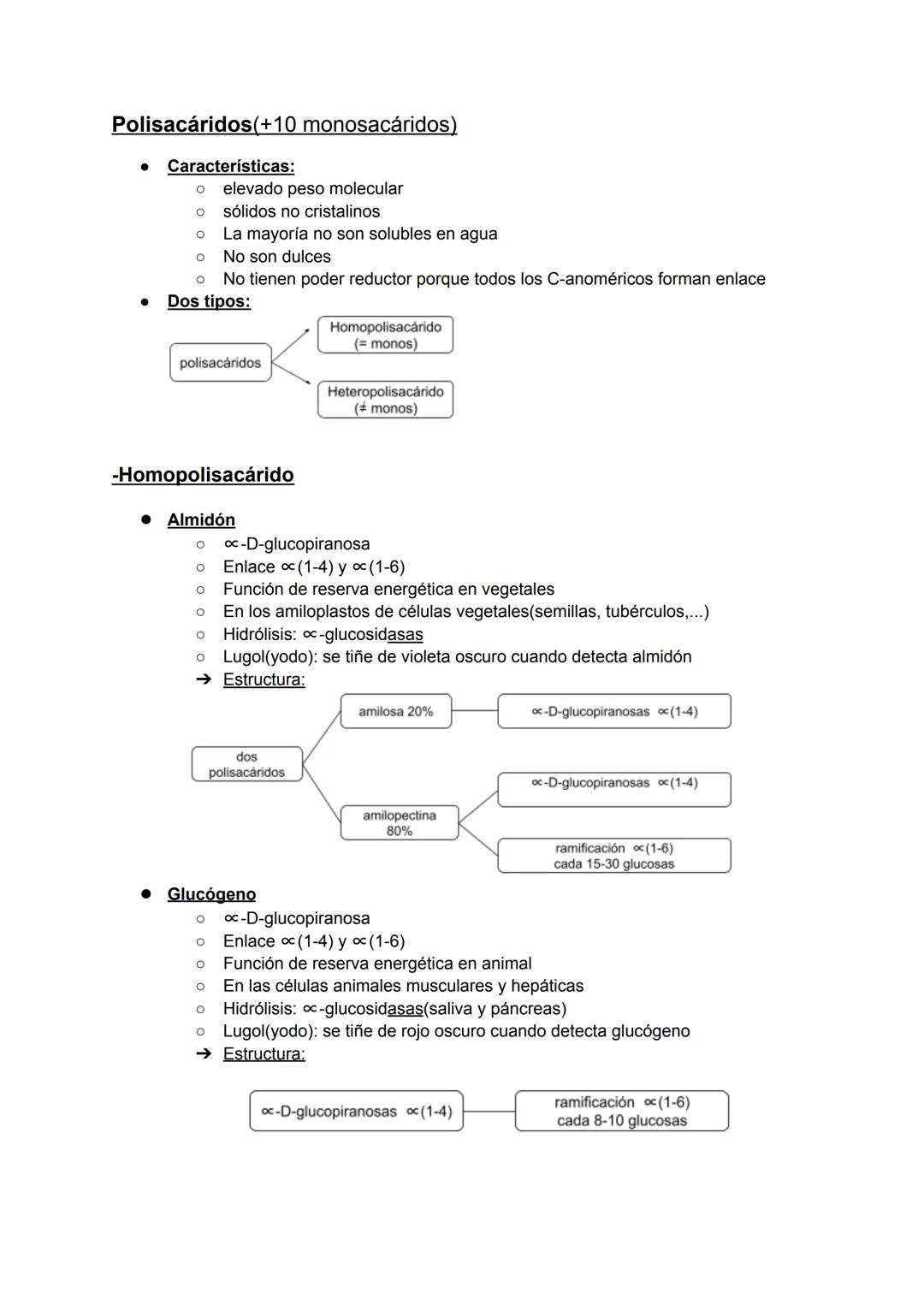 TEMA 2 GLÚCIDOS
• C, H, O - (CH2O)n
● Polihidroxialdehído o Polihidroxicetona
Monosacáridos
Características de los monosacáridos:
O Son los 