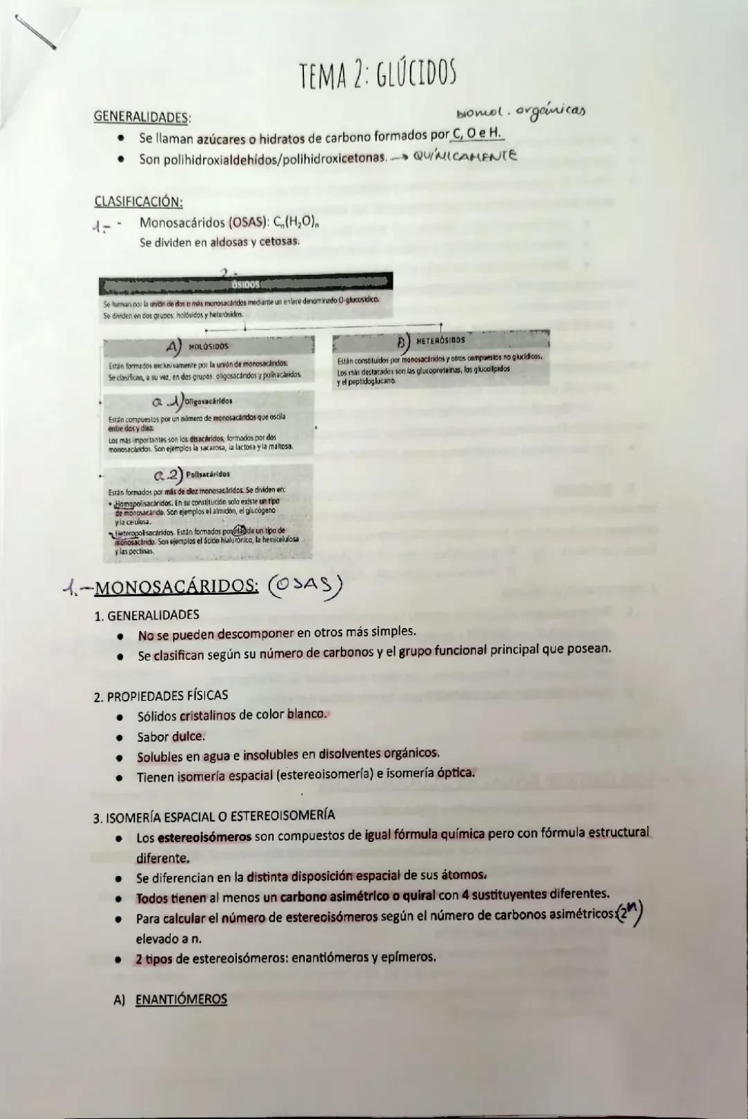 Glúcidos en Biología: Tipos y Ejemplos