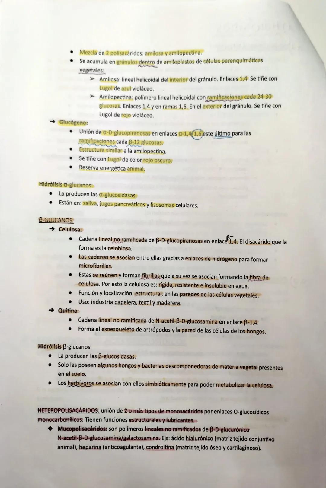 GENERALIDADES:
CLASIFICACIÓN:
Se llaman azúcares o hidratos de carbono formados por C, O e H.
● Son polihidroxialdehídos/polihidroxicetonas.
