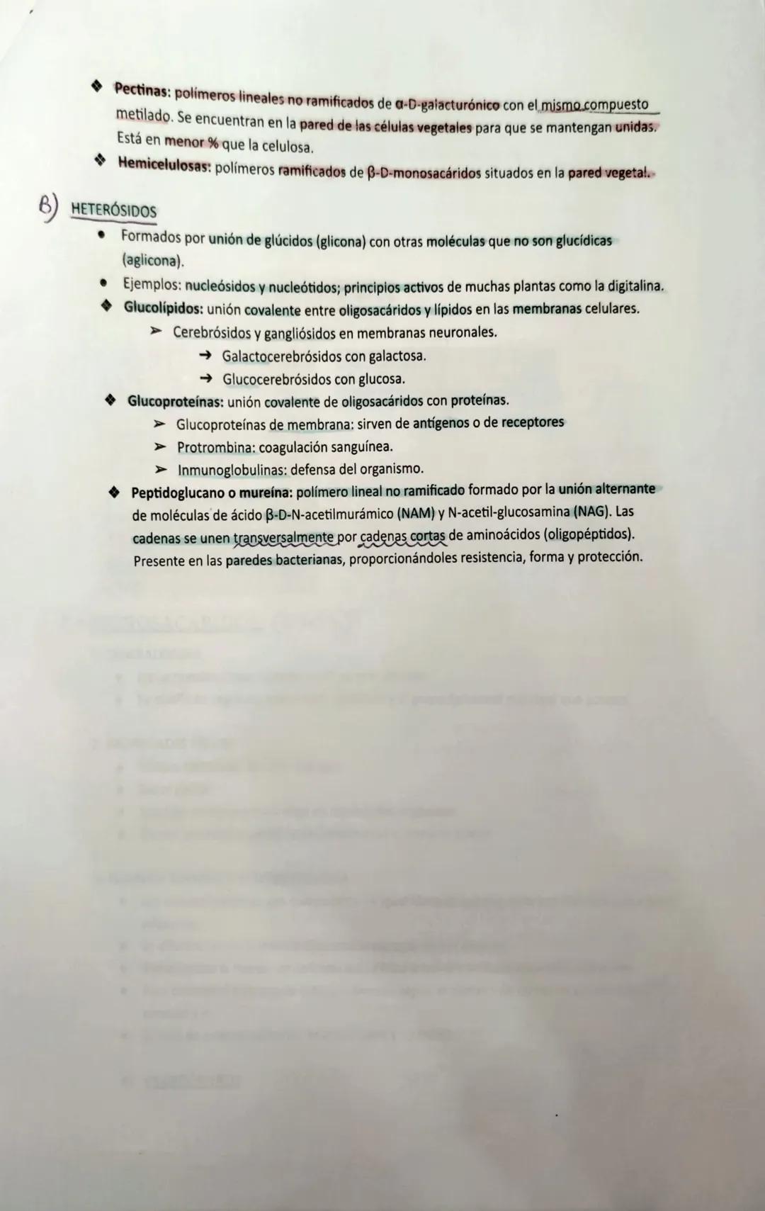 GENERALIDADES:
CLASIFICACIÓN:
Se llaman azúcares o hidratos de carbono formados por C, O e H.
● Son polihidroxialdehídos/polihidroxicetonas.