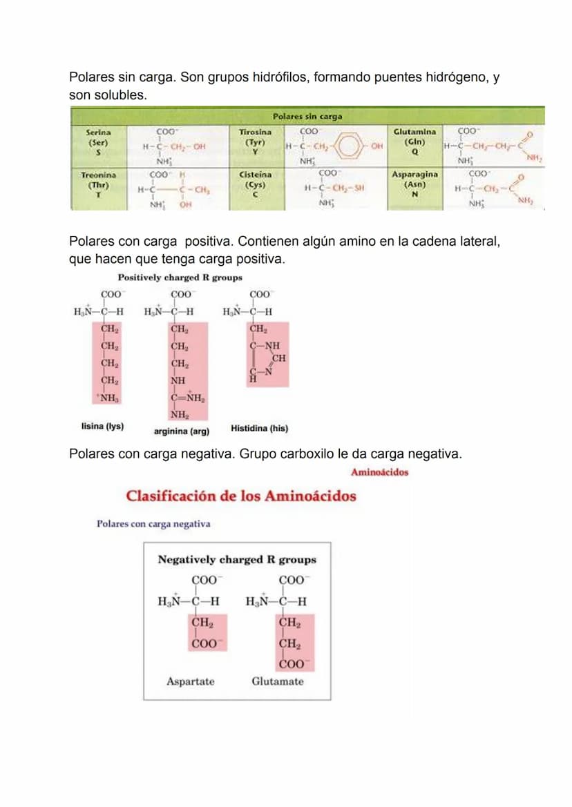 Proteínas
1. Concepto de proteína.
2. Aminoácidos.
3. Enlaces peptidos y peptídicos.
4. Estructura de las proteínas.
5. Propiedades de las p