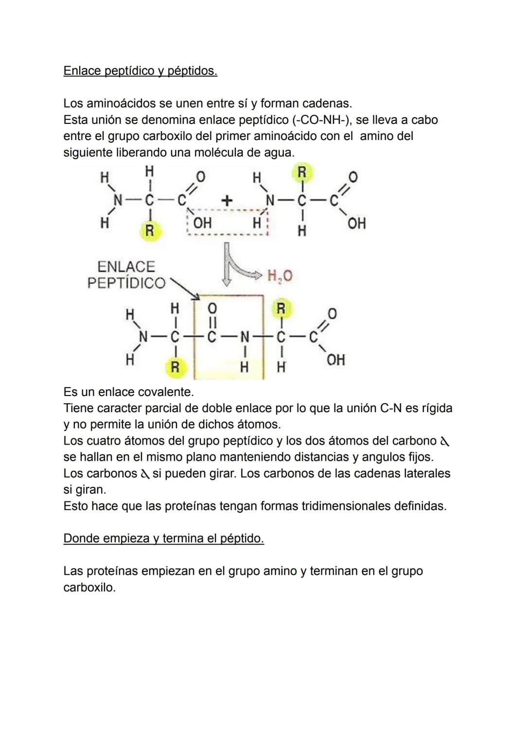 Proteínas
1. Concepto de proteína.
2. Aminoácidos.
3. Enlaces peptidos y peptídicos.
4. Estructura de las proteínas.
5. Propiedades de las p