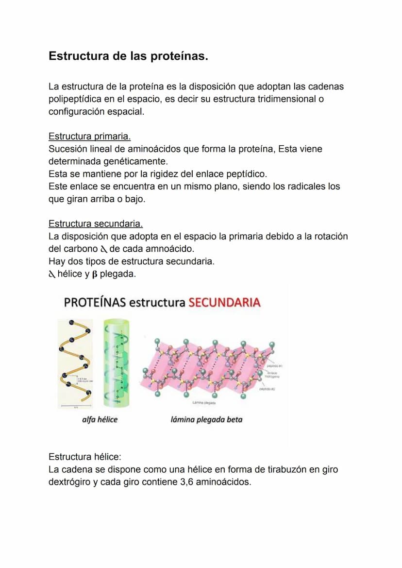 Proteínas
1. Concepto de proteína.
2. Aminoácidos.
3. Enlaces peptidos y peptídicos.
4. Estructura de las proteínas.
5. Propiedades de las p
