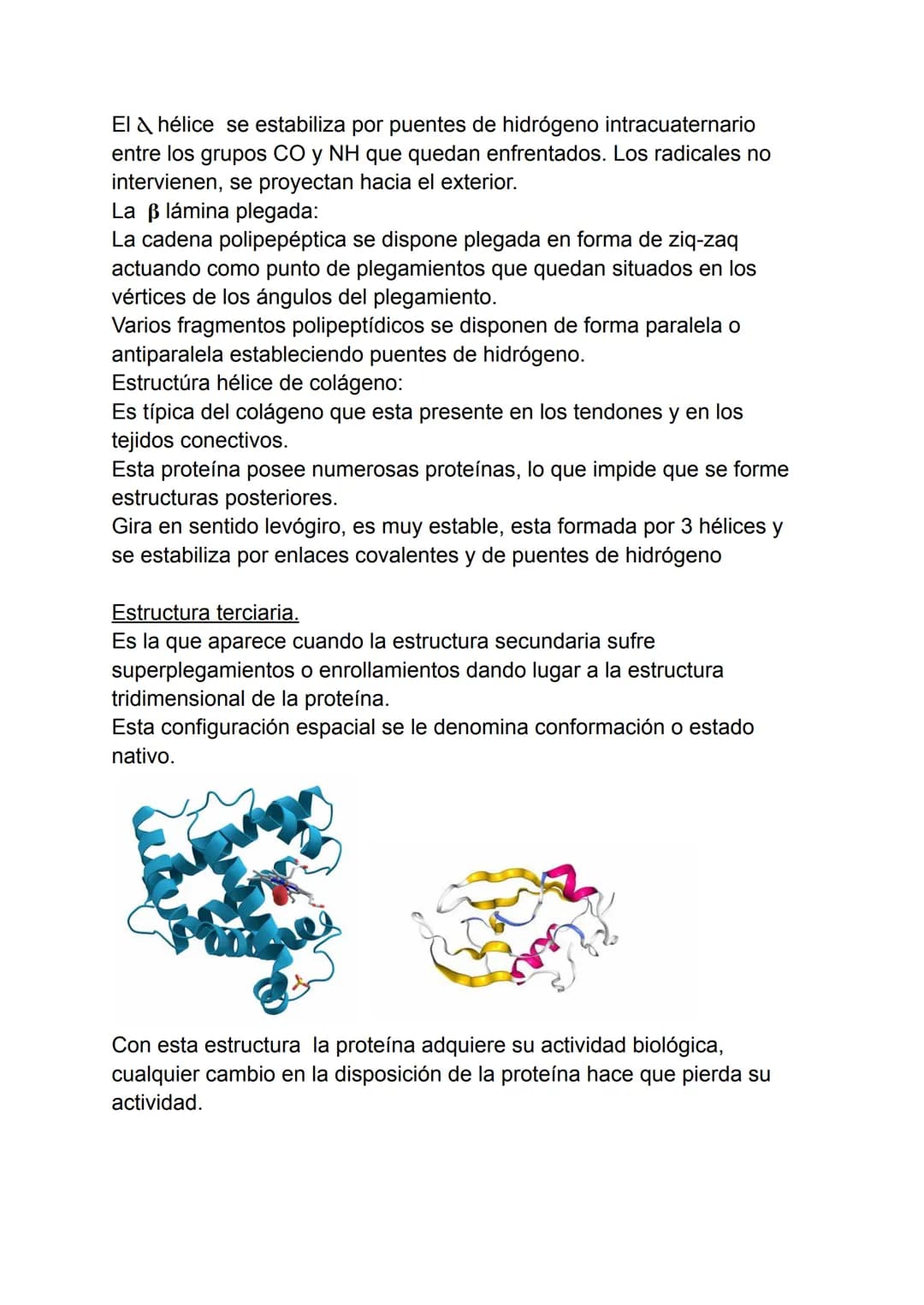 Proteínas
1. Concepto de proteína.
2. Aminoácidos.
3. Enlaces peptidos y peptídicos.
4. Estructura de las proteínas.
5. Propiedades de las p