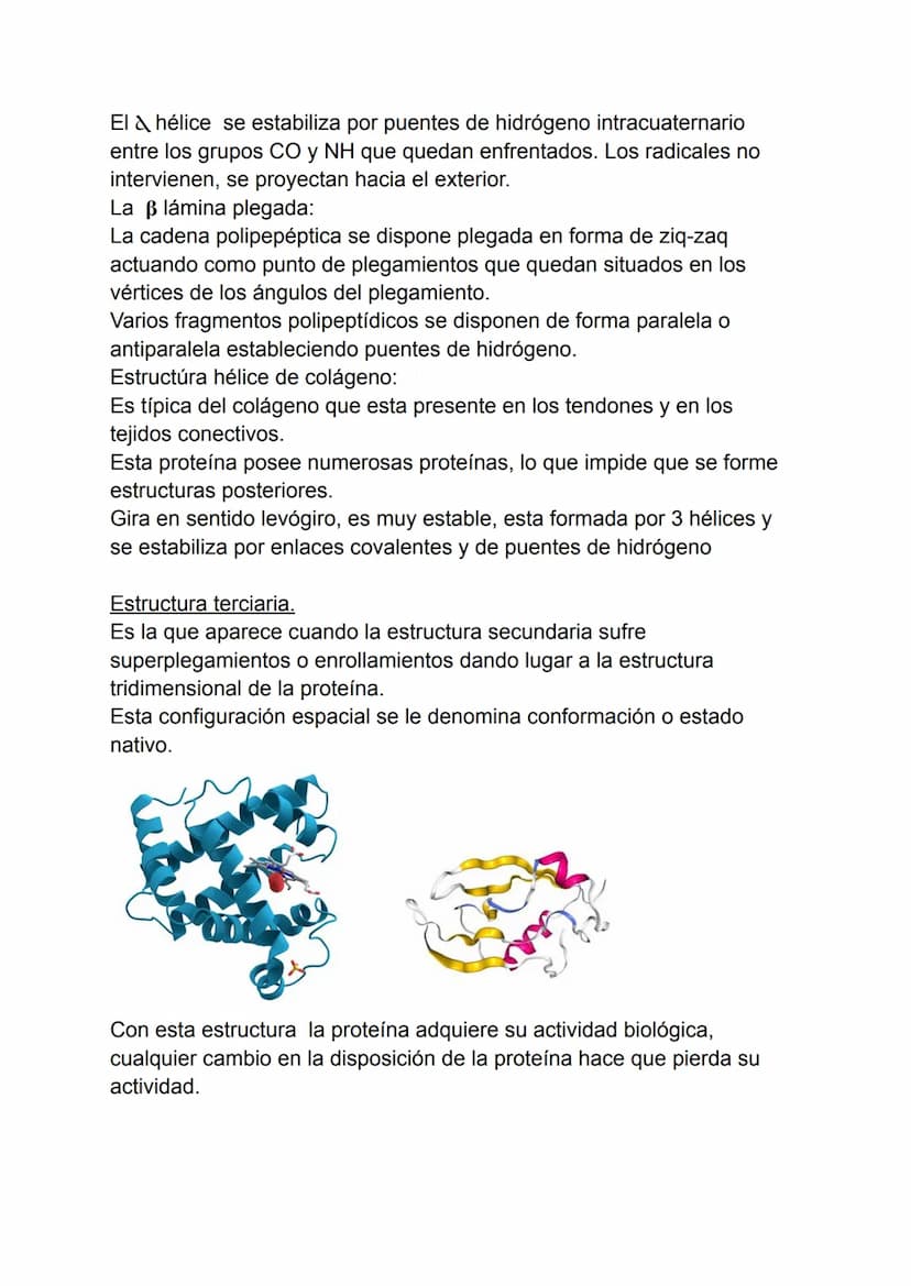 Proteínas
1. Concepto de proteína.
2. Aminoácidos.
3. Enlaces peptidos y peptídicos.
4. Estructura de las proteínas.
5. Propiedades de las p