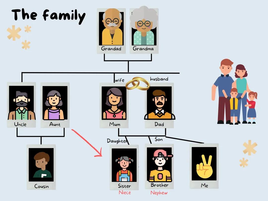 La familia, el árbol genealógico 
