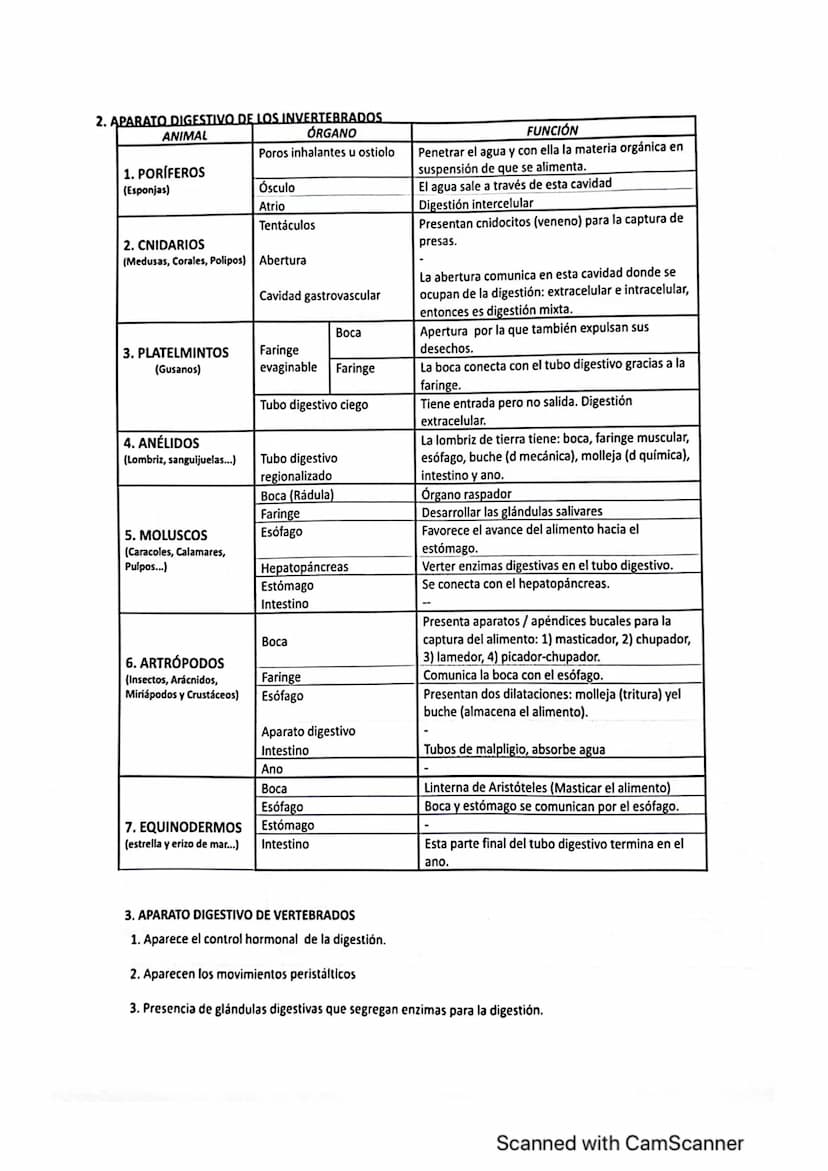Vanidad
ocho : nutrición en
1. LOS PROCESOS DIGESTIVOS
El conjunto de procesos relacionados con la toma de sustancias al exterior y su
trans