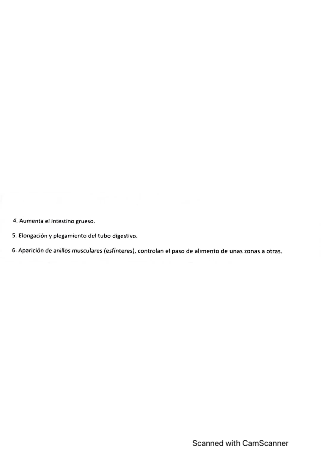 Vanidad
ocho : nutrición en
1. LOS PROCESOS DIGESTIVOS
El conjunto de procesos relacionados con la toma de sustancias al exterior y su
trans