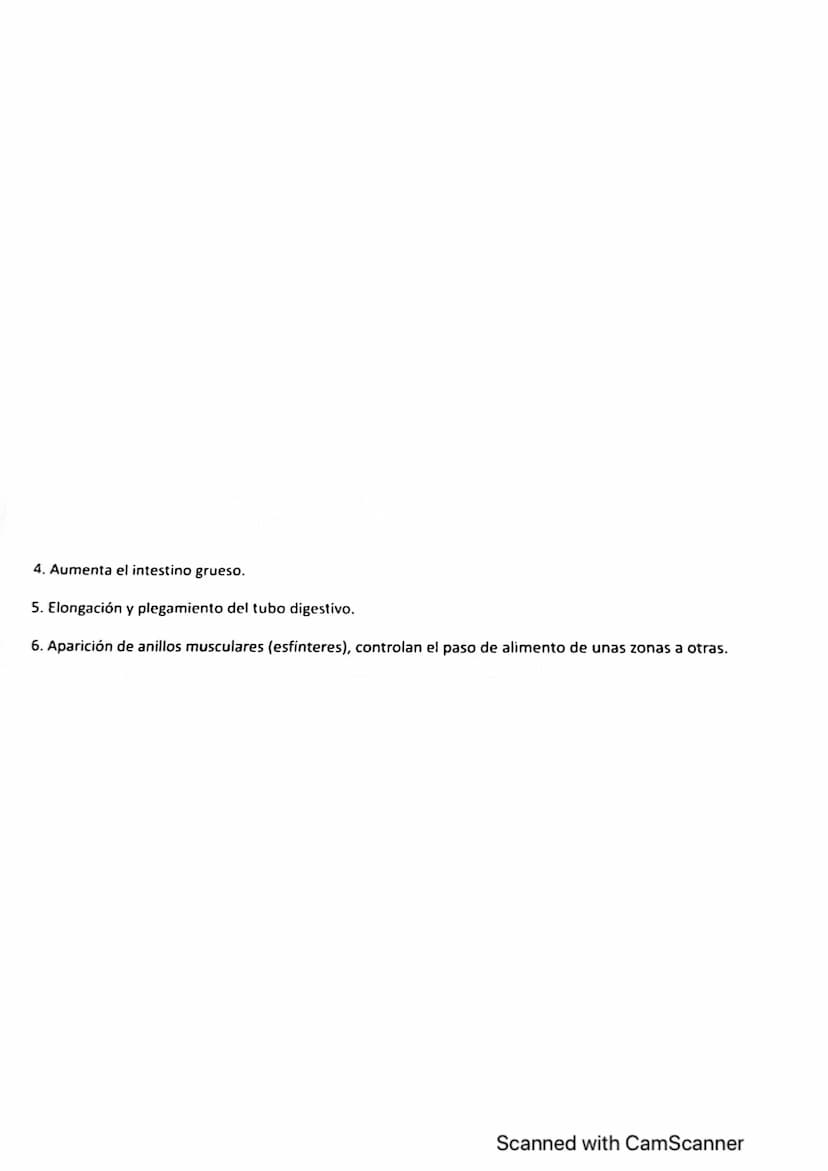 Vanidad
ocho : nutrición en
1. LOS PROCESOS DIGESTIVOS
El conjunto de procesos relacionados con la toma de sustancias al exterior y su
trans