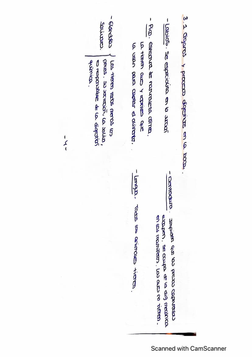 Vanidad
ocho : nutrición en
1. LOS PROCESOS DIGESTIVOS
El conjunto de procesos relacionados con la toma de sustancias al exterior y su
trans
