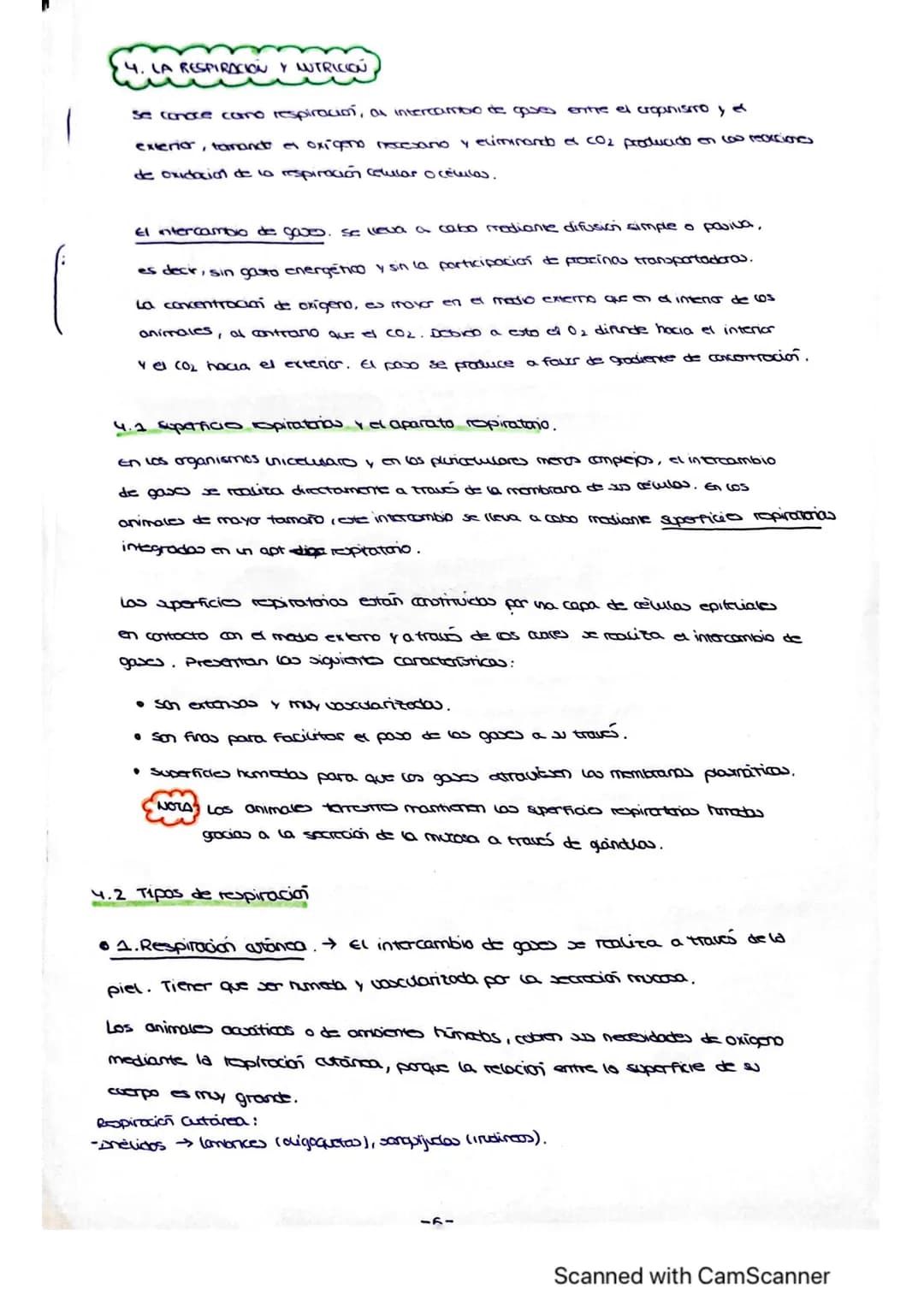 Vanidad
ocho : nutrición en
1. LOS PROCESOS DIGESTIVOS
El conjunto de procesos relacionados con la toma de sustancias al exterior y su
trans