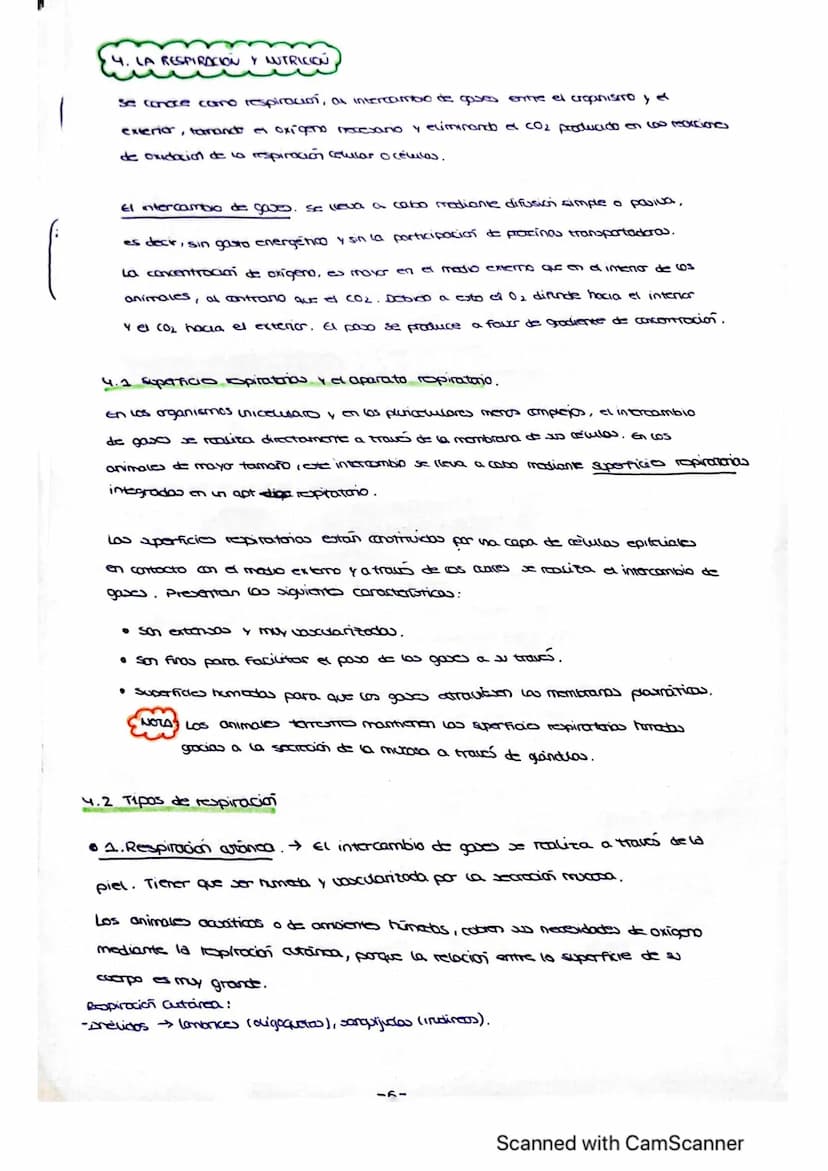Vanidad
ocho : nutrición en
1. LOS PROCESOS DIGESTIVOS
El conjunto de procesos relacionados con la toma de sustancias al exterior y su
trans