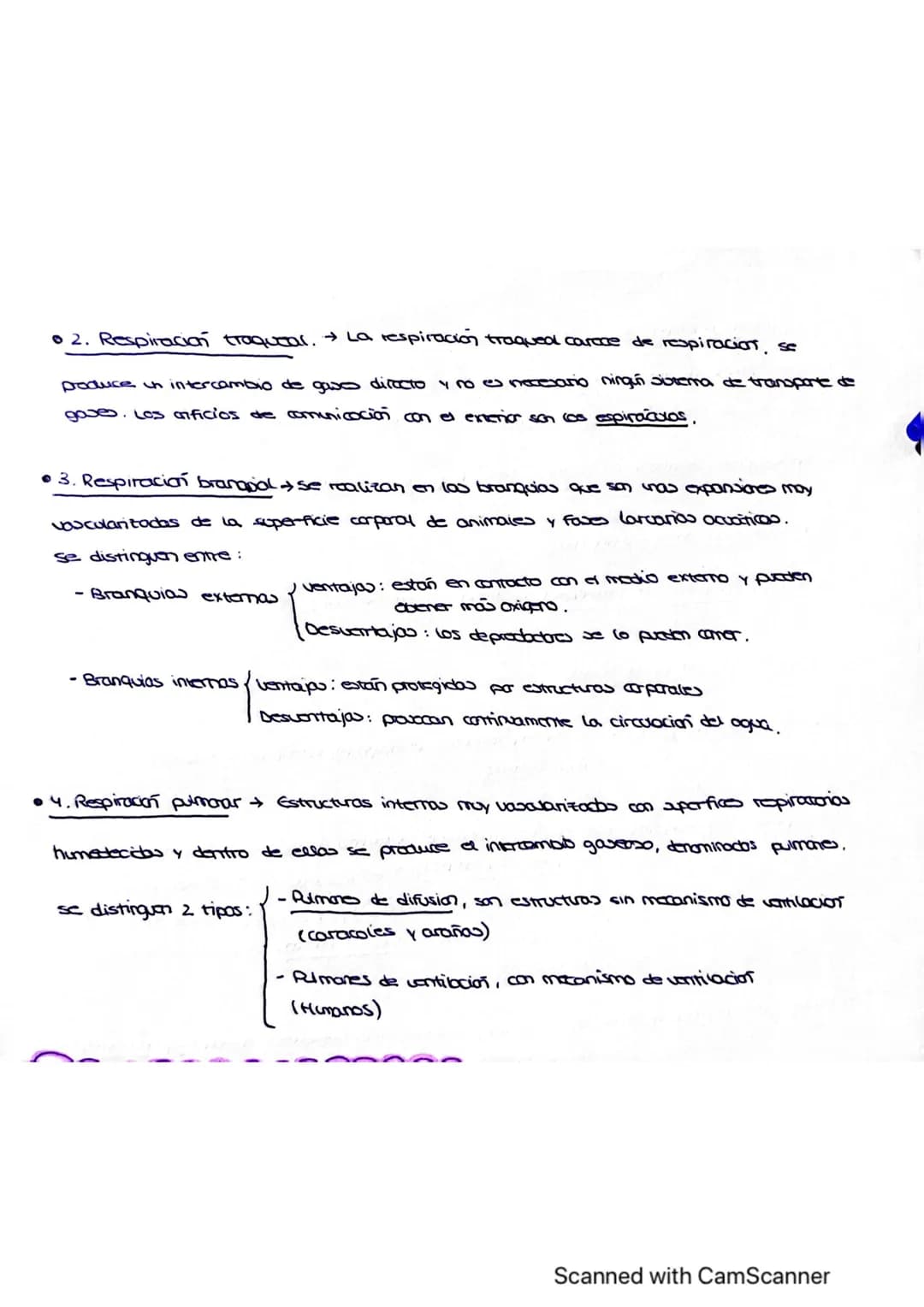 Vanidad
ocho : nutrición en
1. LOS PROCESOS DIGESTIVOS
El conjunto de procesos relacionados con la toma de sustancias al exterior y su
trans