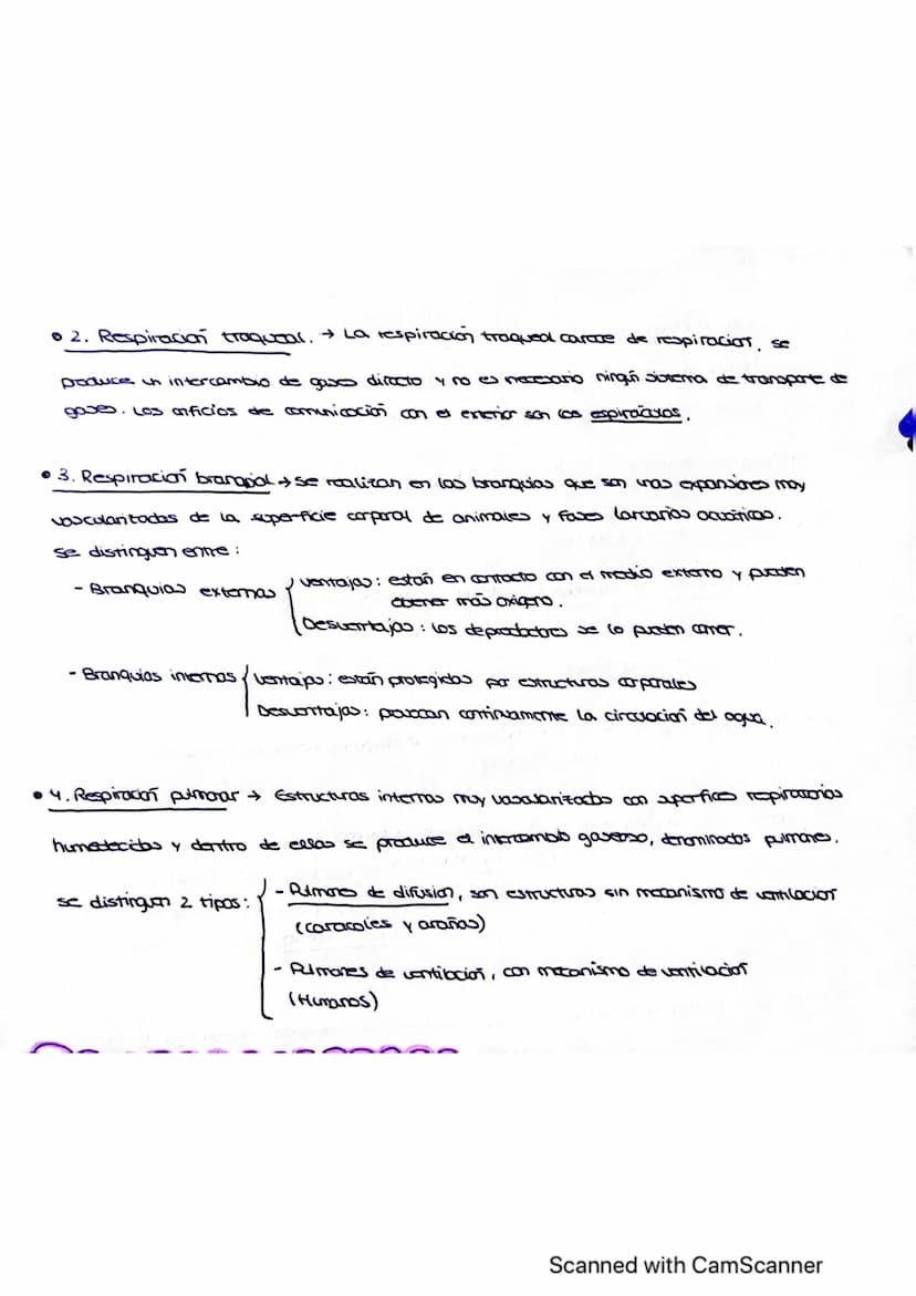 Vanidad
ocho : nutrición en
1. LOS PROCESOS DIGESTIVOS
El conjunto de procesos relacionados con la toma de sustancias al exterior y su
trans