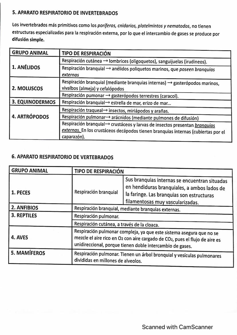 Vanidad
ocho : nutrición en
1. LOS PROCESOS DIGESTIVOS
El conjunto de procesos relacionados con la toma de sustancias al exterior y su
trans