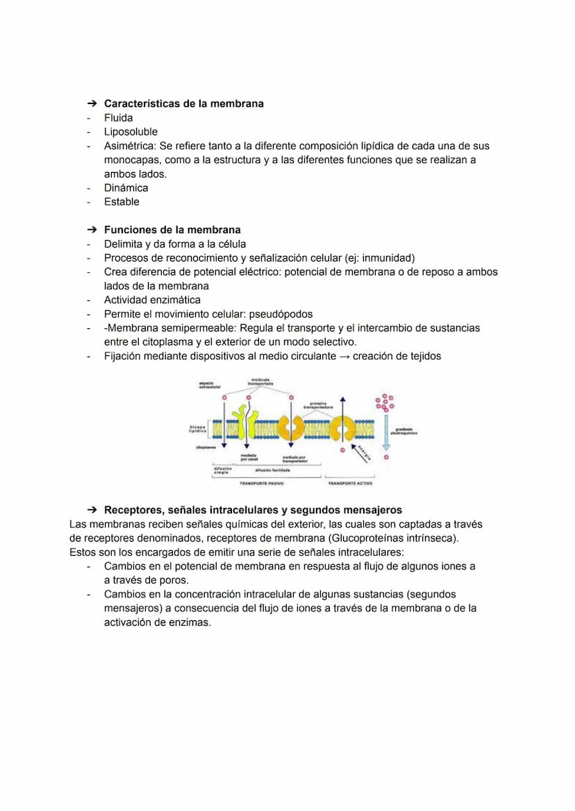 TEMA 1: MEMBRANA CELULAR ESTRUCTURA Y SU FUNCIÓN
Se trata de uno de los componentes celulares más importantes, ya que regula el
transporte d
