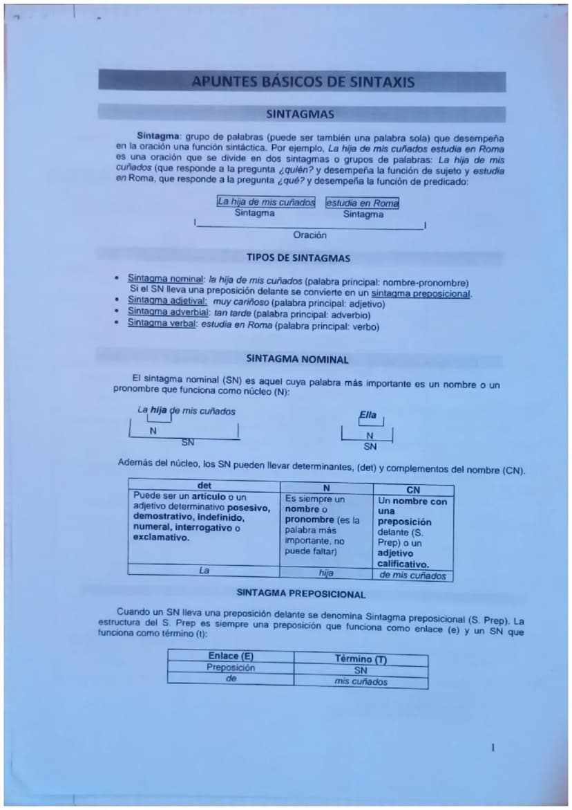 A su vez, el SN que funciona como t (término) presenta la estructura de cualquier SN (en este
ejemplo, está formado por un determinante pose