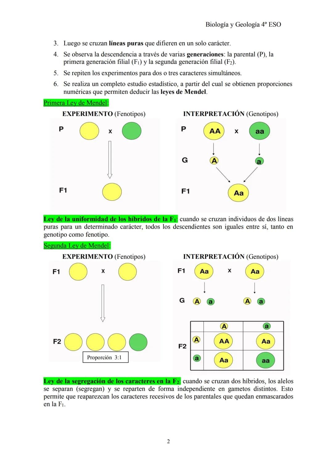Biología y Geología 4º ESO
TEMA 2: GENÉTICA BÁSICA y G. MENDELIANA
1- CONCEPTOS BÁSICOS DE GENÉTICA
Herencia biológica: proceso de transmisi