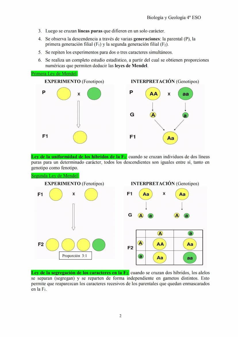 Biología y Geología 4º ESO
TEMA 2: GENÉTICA BÁSICA y G. MENDELIANA
1- CONCEPTOS BÁSICOS DE GENÉTICA
Herencia biológica: proceso de transmisi
