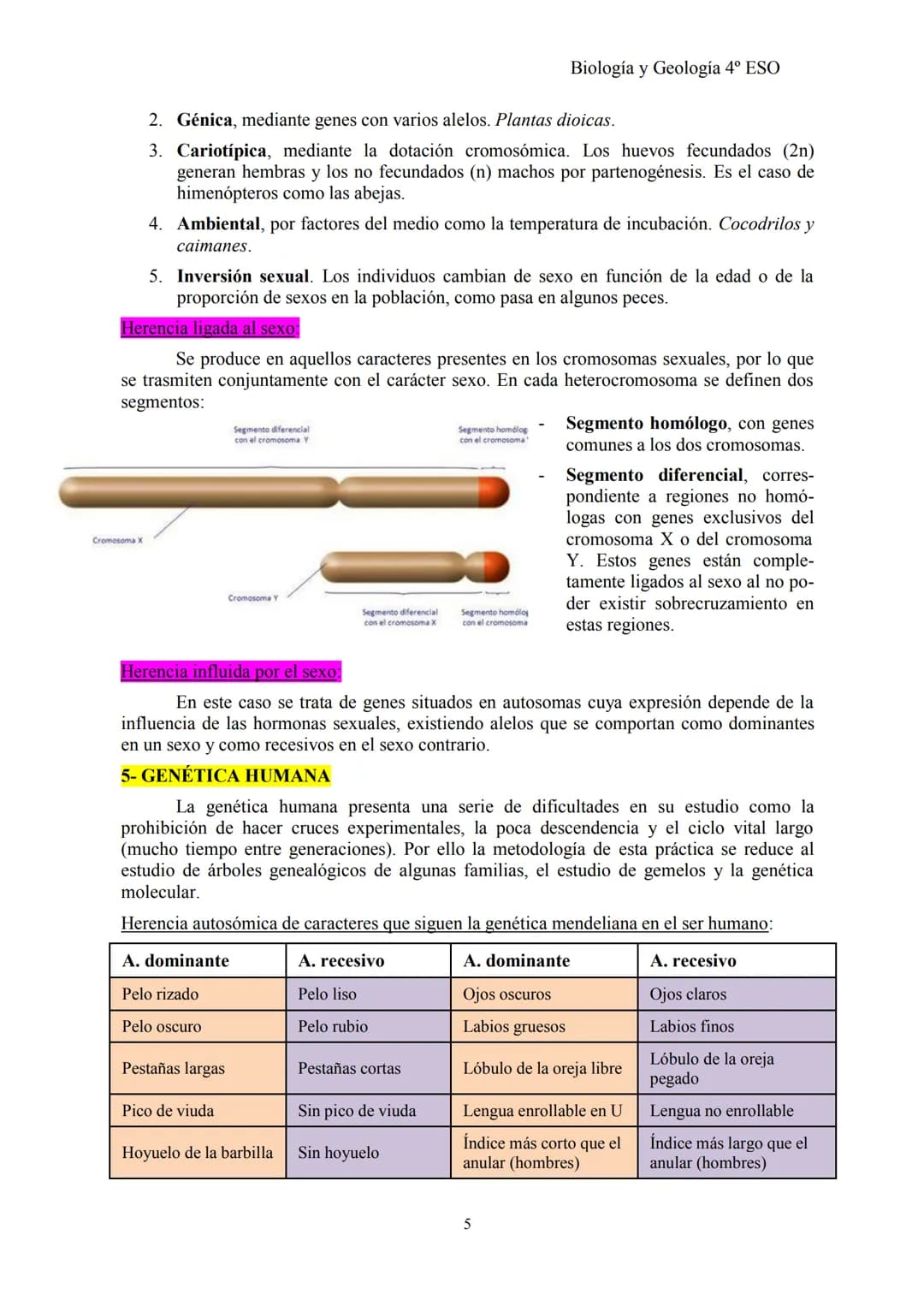 Biología y Geología 4º ESO
TEMA 2: GENÉTICA BÁSICA y G. MENDELIANA
1- CONCEPTOS BÁSICOS DE GENÉTICA
Herencia biológica: proceso de transmisi