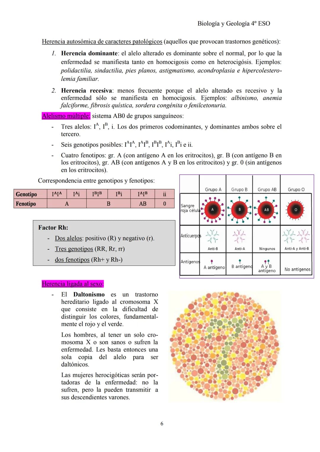 Biología y Geología 4º ESO
TEMA 2: GENÉTICA BÁSICA y G. MENDELIANA
1- CONCEPTOS BÁSICOS DE GENÉTICA
Herencia biológica: proceso de transmisi